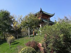 -武清南湖绿博园