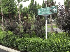 -中关村生命科学园