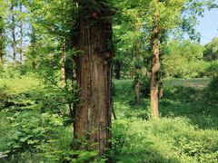 -国家植物园南园