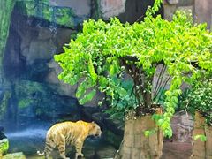 -长鹿旅游休博园