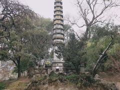 -西泠印社