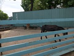 -酷鱼垂钓CLUB(朝阳区博大路店 )