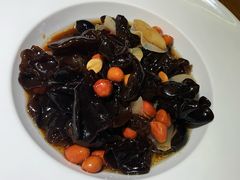 -九毛九西北菜(大东海店)