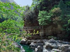 -黑河国家森林公园