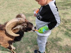 -南京金牛湖风景区