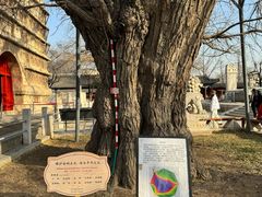 -北京石刻艺术博物馆(五塔寺)