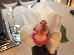 -北京金融街丽思卡尔顿酒店·意味轩 Cepe
