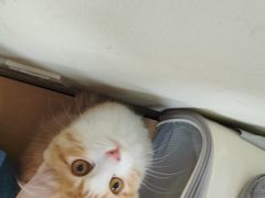 -美联众合动物医院·24h京西诊疗中心