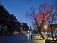 -长春市南湖公园