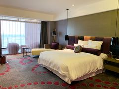 -南京禄口机场雅高铂尔曼大酒店