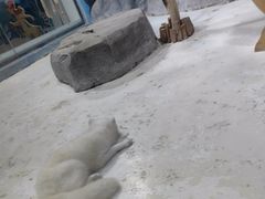 -海合安青岛极地海洋公园