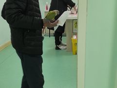 -北京观赏动物医院·24小时大型综合·猫专科·异宠专科