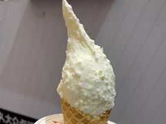 -野人先生现做冰淇淋(北京顺义祥云小镇店)
