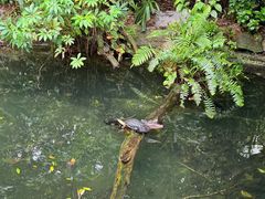 -河川生态园