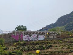-密云玫瑰情园