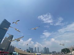 -星海广场