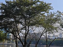 -西北湖绿化广场