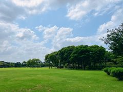 -顺峰山公园