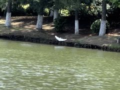 -白塘生态植物园