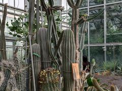 -国家植物园南园