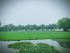 -闻莺馆(柳浪闻莺店)