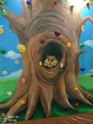 -KidSteam儿童乐园(富力城店)