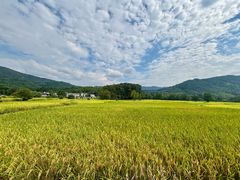 -塔川景区
