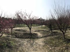 -南湖湿地公园
