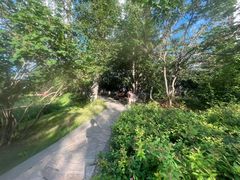 -黑龙江省森林植物园