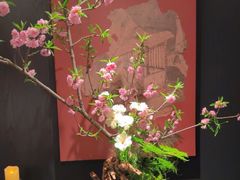 -蘇锦宴·淮扬菜烤鸭·小院(三元桥霄云路店)