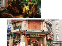 -大龙火锅(龙潭寺旗舰店)