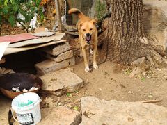 -幸福时光PARTY K(八里桥店)