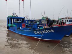 -碧海金沙