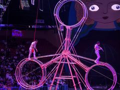 -俄罗斯国家大马戏团