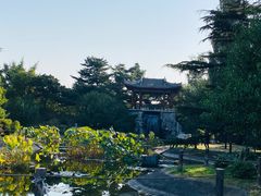 -国家植物园南园