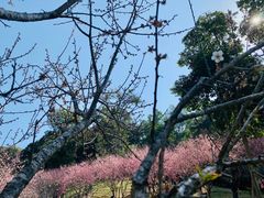 -广州市白云山风景名胜区