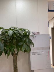 -郑荃丽格医疗美容