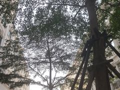 -中山路步行街