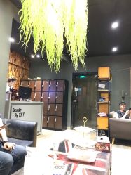 -藤野造型·专业烫染店