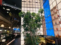 -桂满陇·海市蜃楼·黑金(国金店)