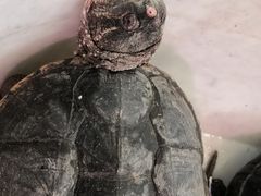 -众彩物流水产市场