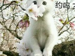 android_upload_pic-永利澳门酒店