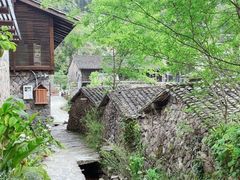 -MOJ coffee(瓯海泽雅水碓坑店)