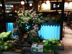 -东椰·海南椰子鸡火锅(朝阳门店)