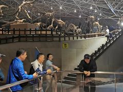 -世界恐龙谷景区