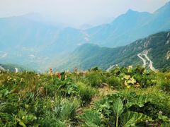 -白草畔自然风景区