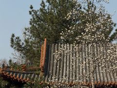 -碑林公园
