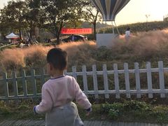 -大塘金香草谷