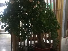 大堂-安多素食(广仁寺路店)