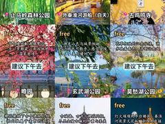 -好一朵茉莉花(老门东店)